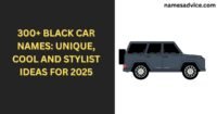 black car names